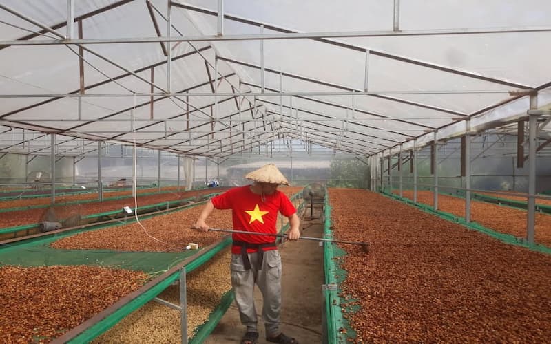 ベトナム　コーヒー農家