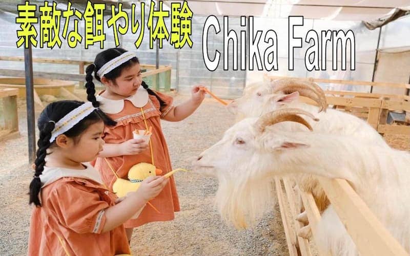 ダラットのミニ牧場！動物との素敵な体験~Chika Farm~
