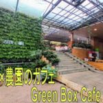 ダラット　Greenbox cafe