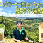 日本人大歓迎!!オーガニックコーヒー&ファームステイのMidori Coffee Farm